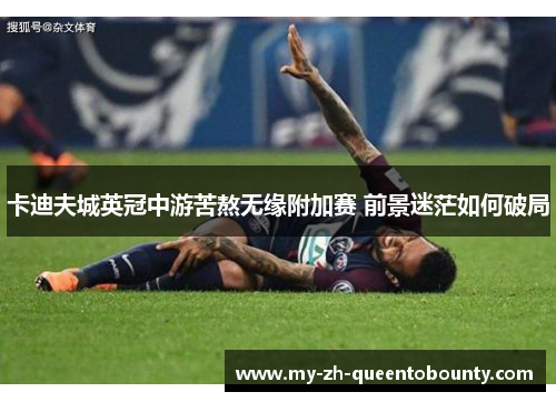 卡迪夫城英冠中游苦熬无缘附加赛 前景迷茫如何破局 卡迪夫城英冠中游苦熬无缘附加赛 前景迷茫如何破局
